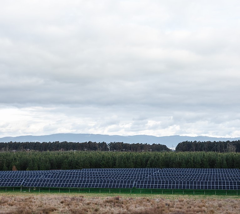 2,000 solar panel array at our Gippsland Water Factory.