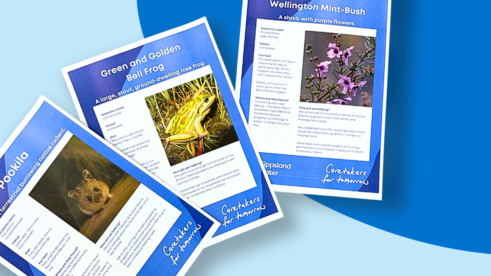 Activity sheets on blue background
