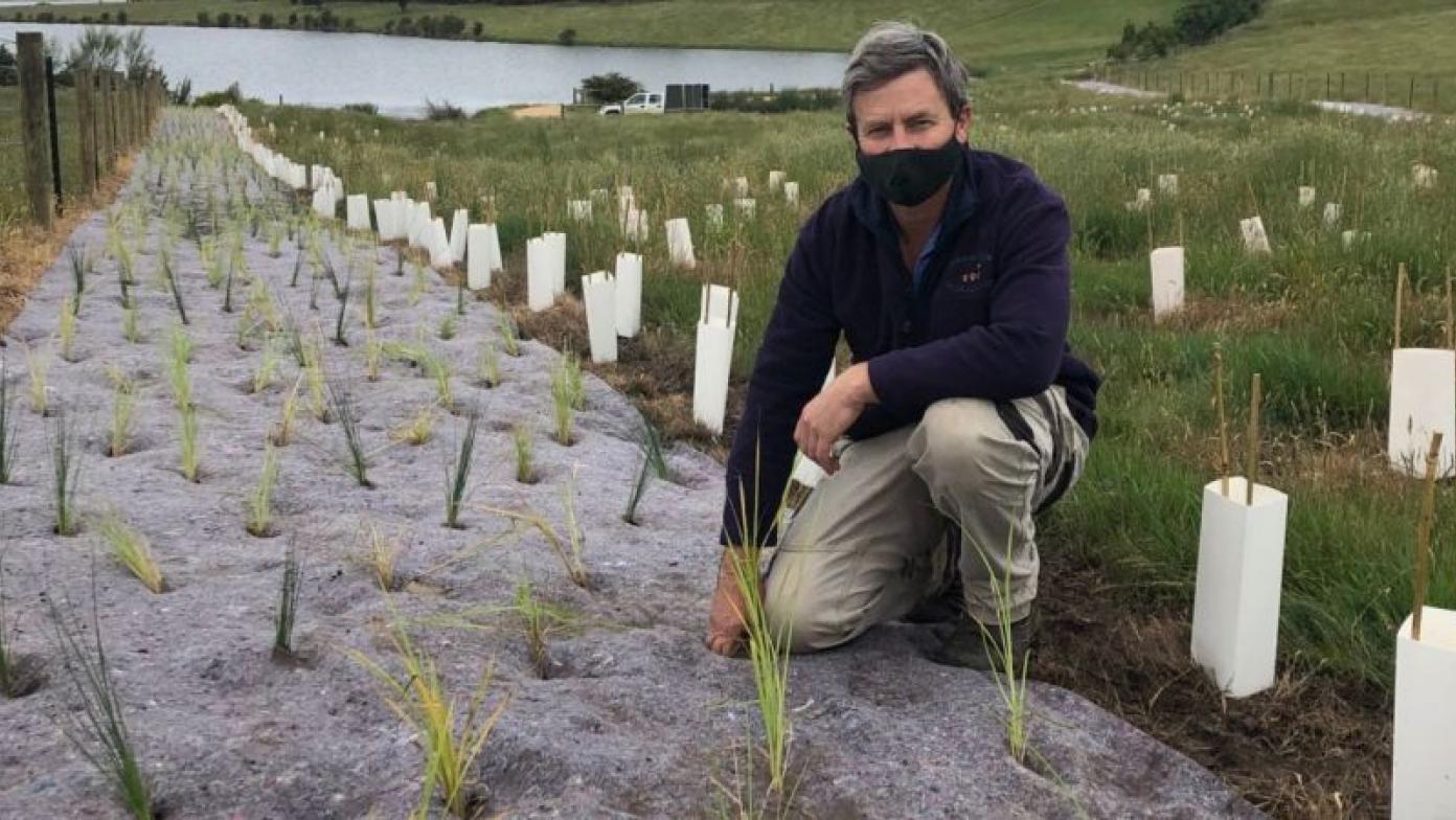 Man kneels new to rows of freshly planted shrubs. A body of water is behind him.