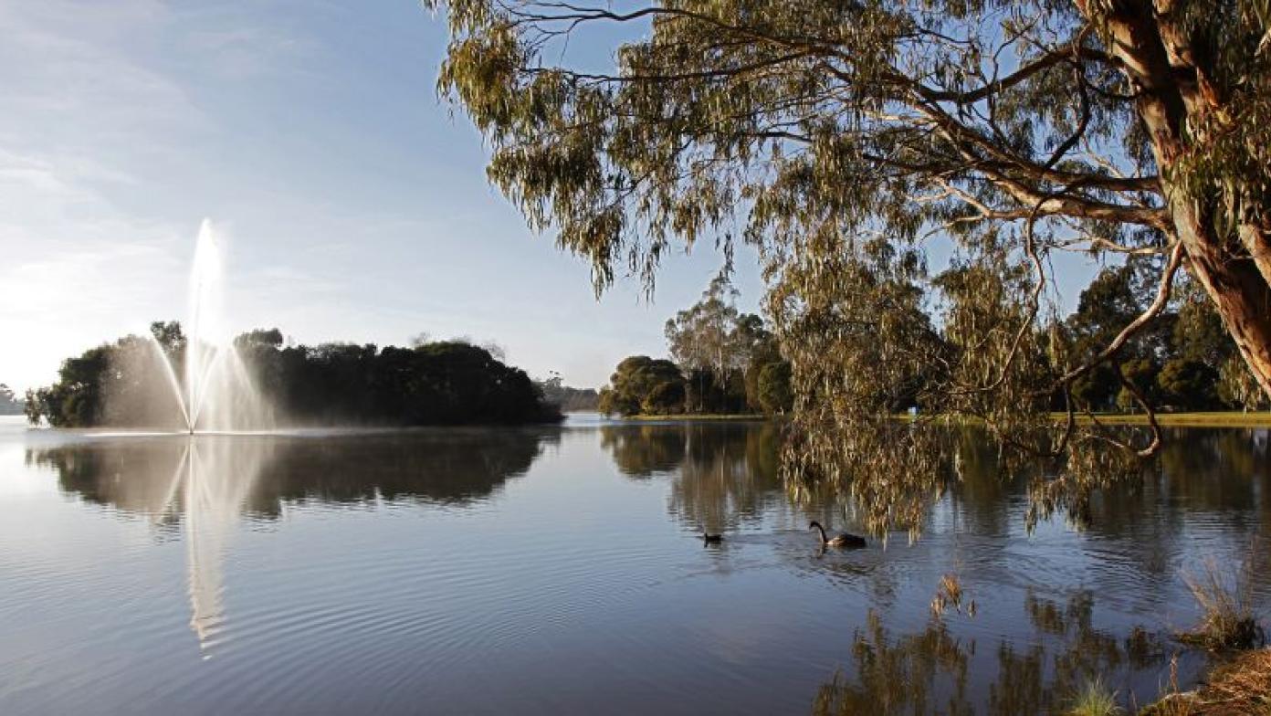 Body of water with a fountain on left and swan swimming on the right. 