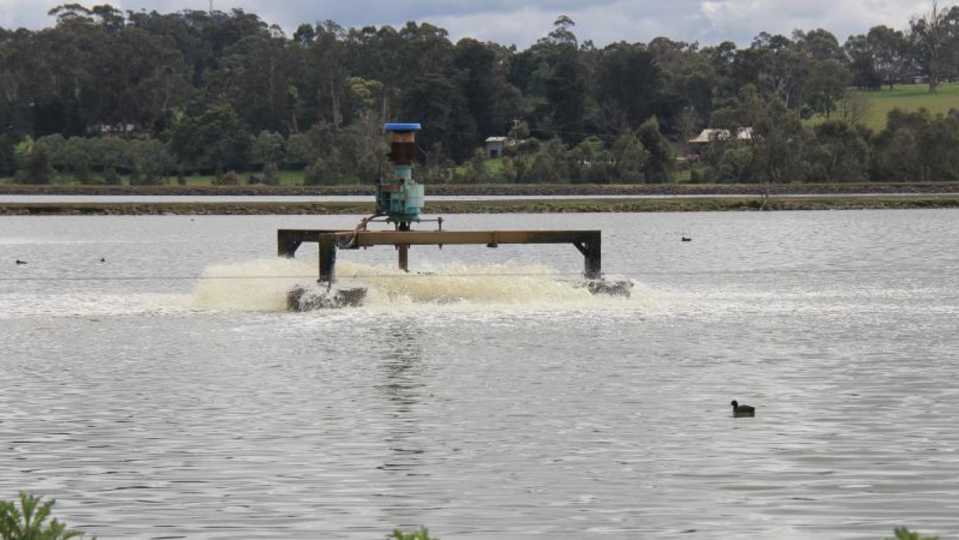  Aerator in the wastewater treatment lagoon at Drouin.