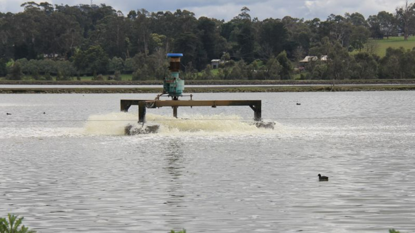 Aerator in the wastewater treatment lagoon at Drouin