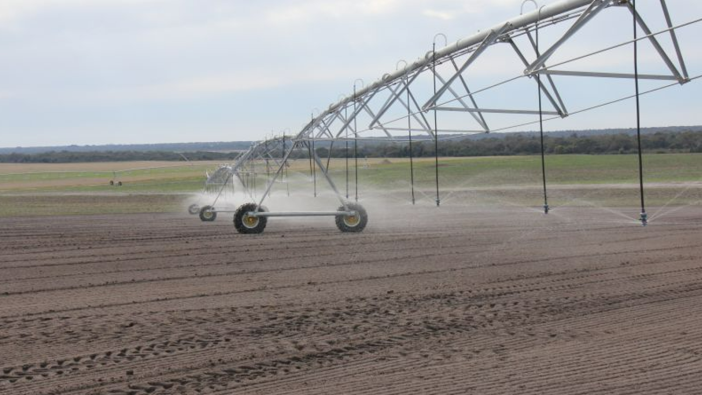 Irrigation in field.