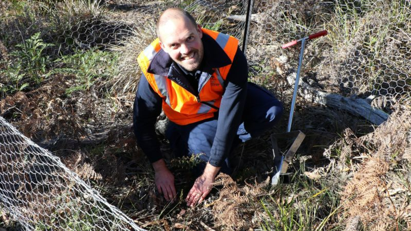 Man in shrubland.