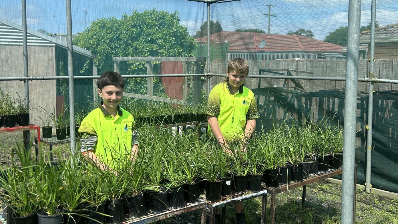 Two boys stand behind potted grasses on table. 