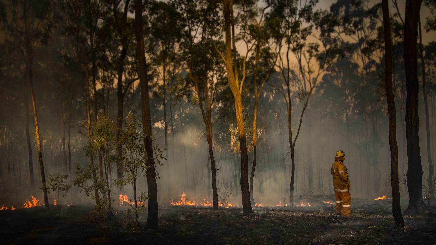 CFA member stands near fire in bushland