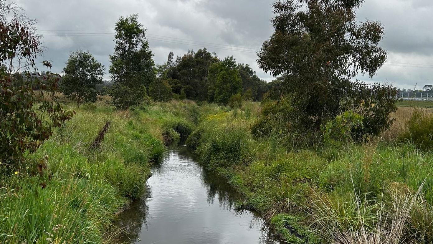 Shillinglaw Creek near Drouin wastewater treatment plant