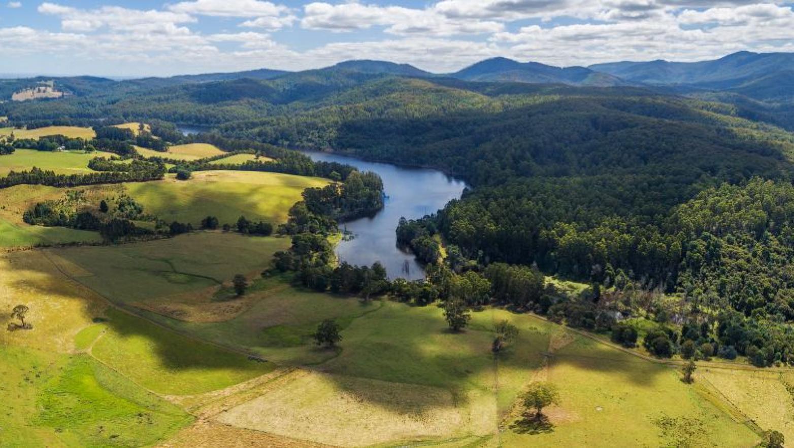 River surrounded by bushland