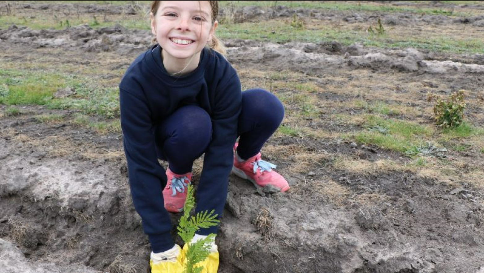 Girl kneels down on the ground to plant a tree.