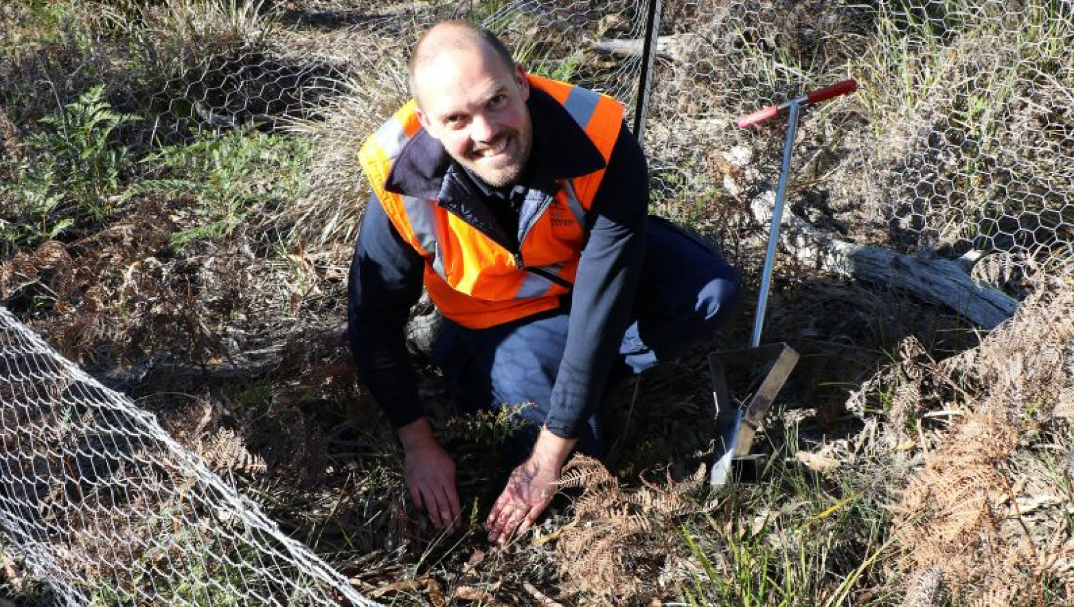 Man in shrubland.